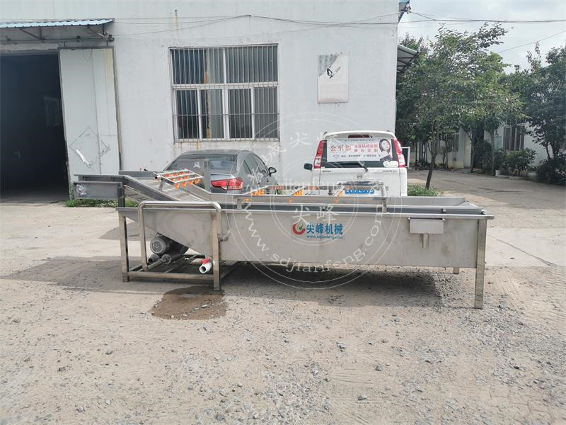 葉菜清洗機發(fā)貨