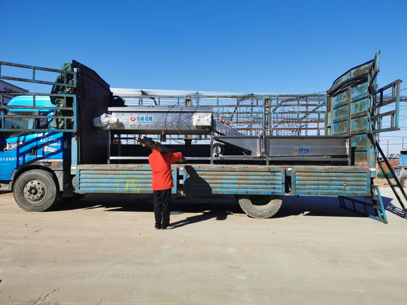 蘭陵縣引進(jìn)自動(dòng)化生姜清洗生產(chǎn)線