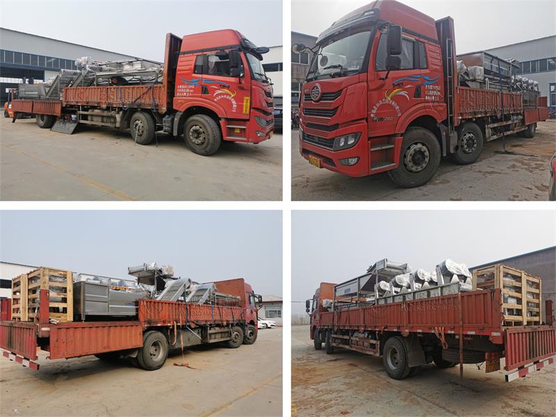 寧強縣薯芋類凈菜加工設備發(fā)貨