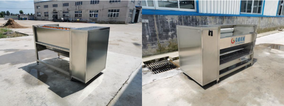 球根莖類去皮清洗機器設(shè)備