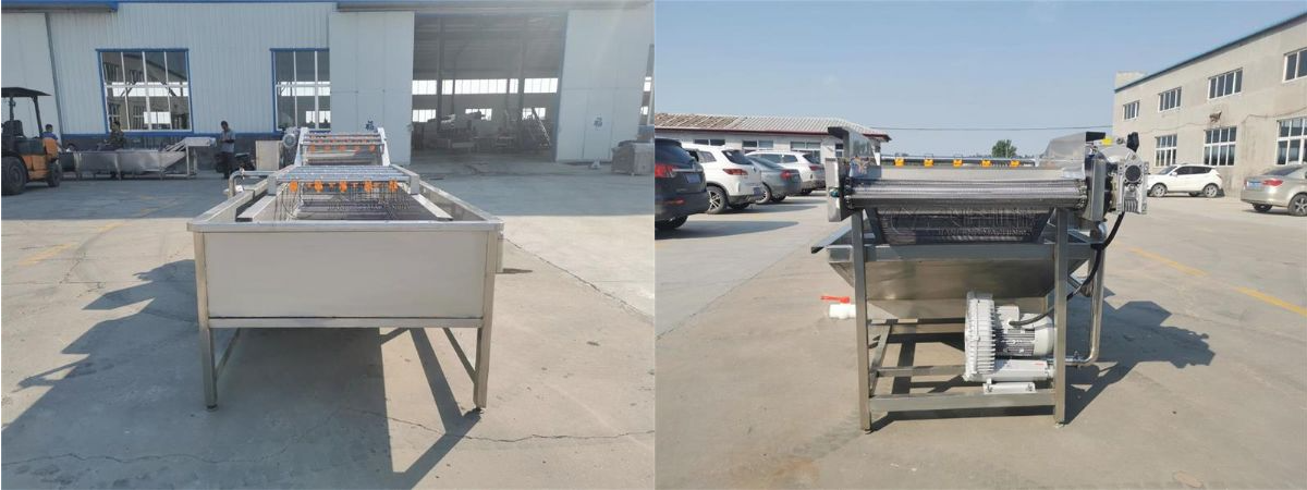 葉菜類(lèi)噴淋氣泡清洗機(jī)器設(shè)備